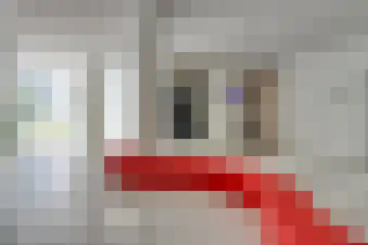 Anton Philipslaan 157 Eindhoven thumbnail 27