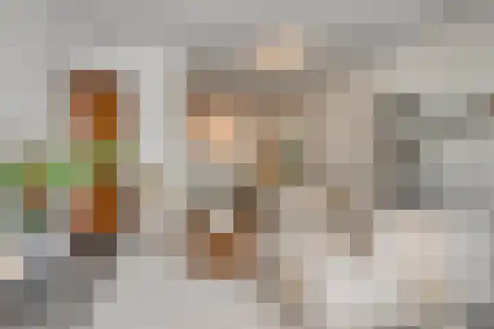 Anton Philipslaan 157 Eindhoven thumbnail 8