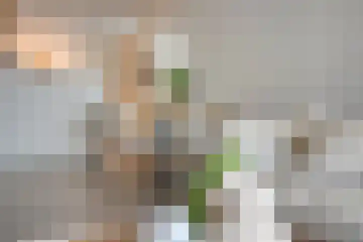 Anton Philipslaan 157 Eindhoven thumbnail 9