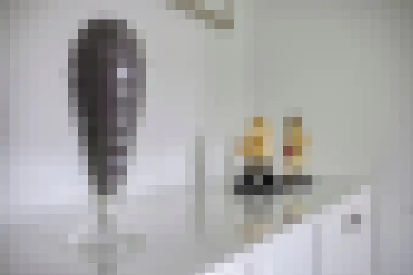 Anton Philipslaan 163 Eindhoven thumbnail 10