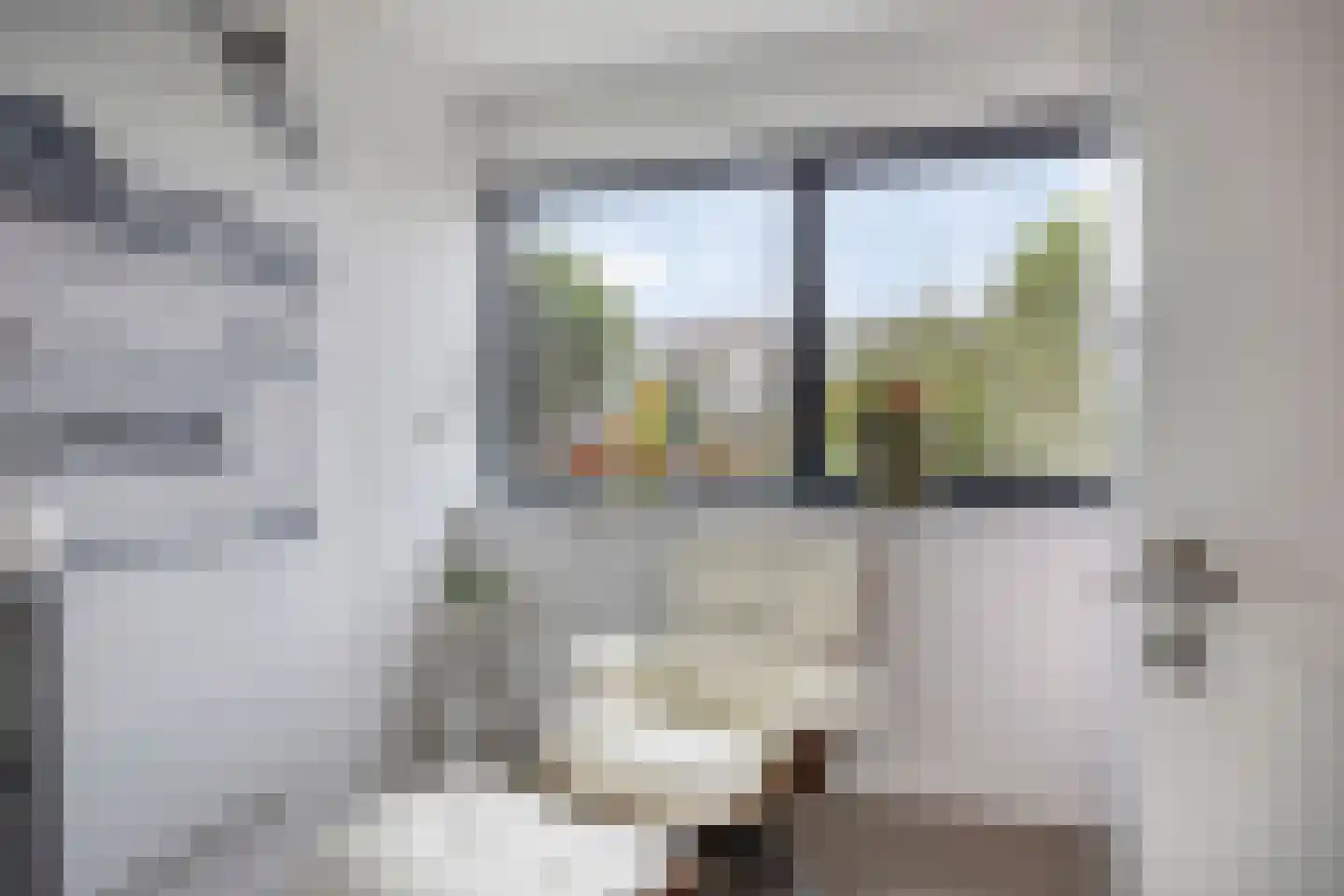 Anton Philipslaan 163 Eindhoven thumbnail 12