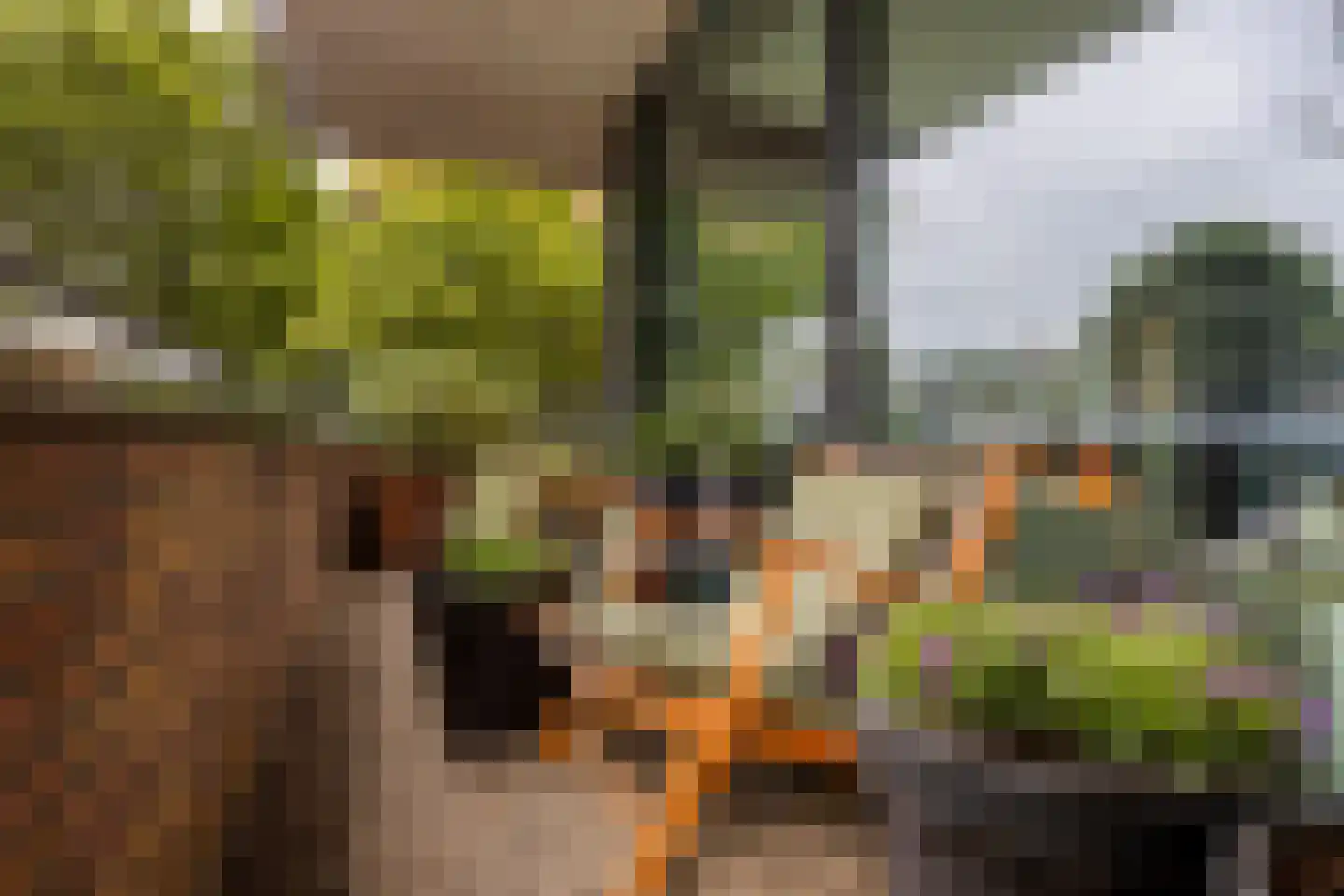 Anton Philipslaan 163 Eindhoven thumbnail 37