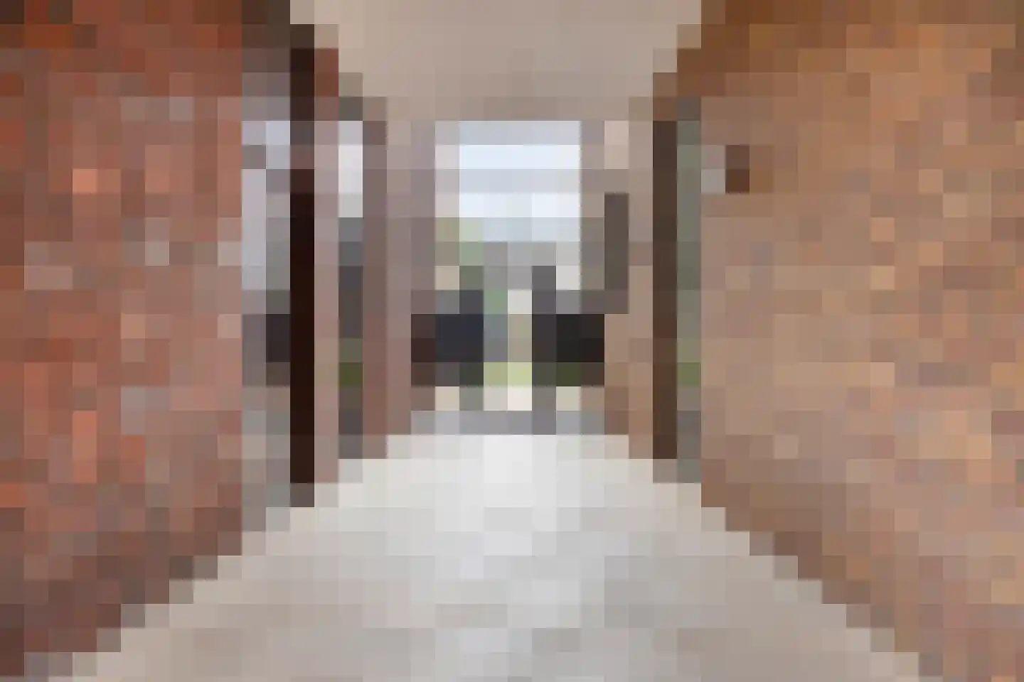 Anton Philipslaan 163 Eindhoven thumbnail 4