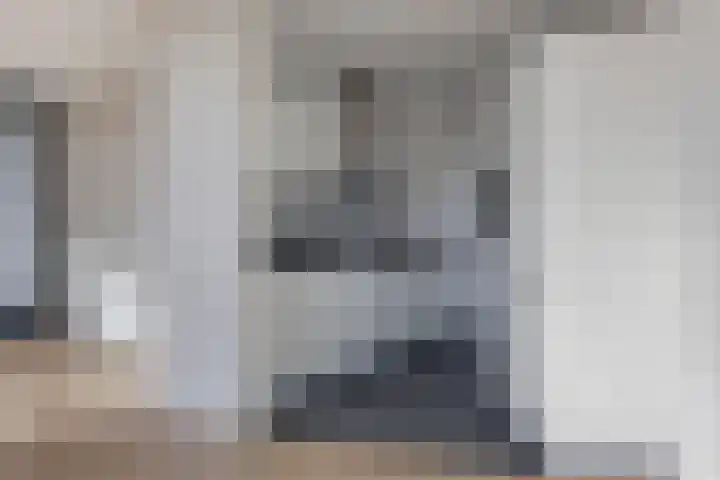Anton Philipslaan 164 Eindhoven thumbnail 16