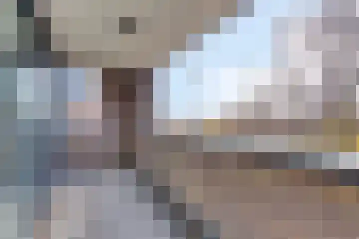 Anton Philipslaan 164 Eindhoven thumbnail 21