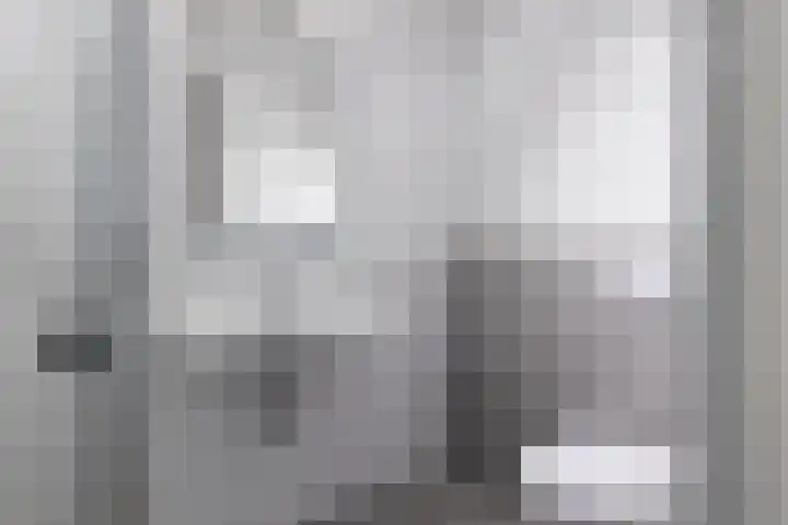 Anton Philipslaan 164 Eindhoven thumbnail 24