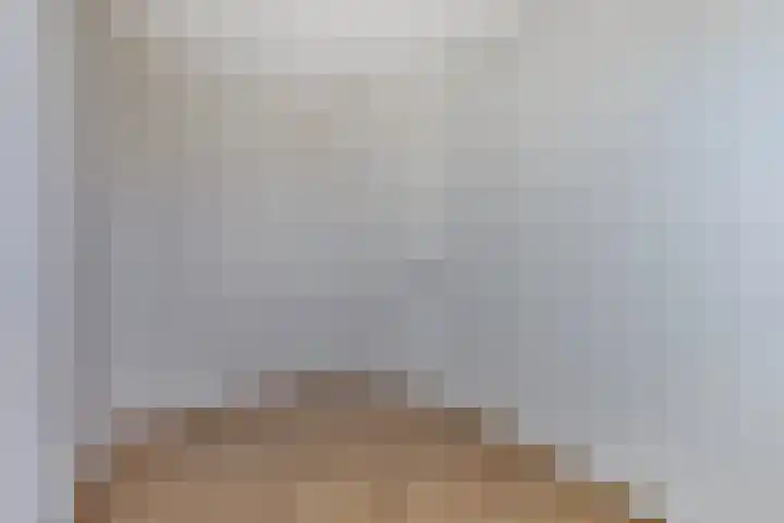 Anton Philipslaan 164 Eindhoven thumbnail 28