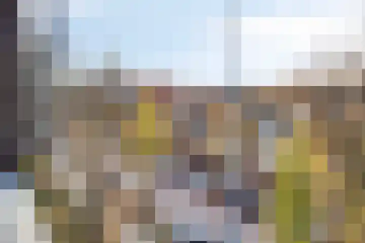 Anton Philipslaan 164 Eindhoven thumbnail 30