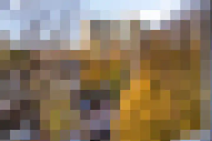 Anton Philipslaan 164 Eindhoven thumbnail 31
