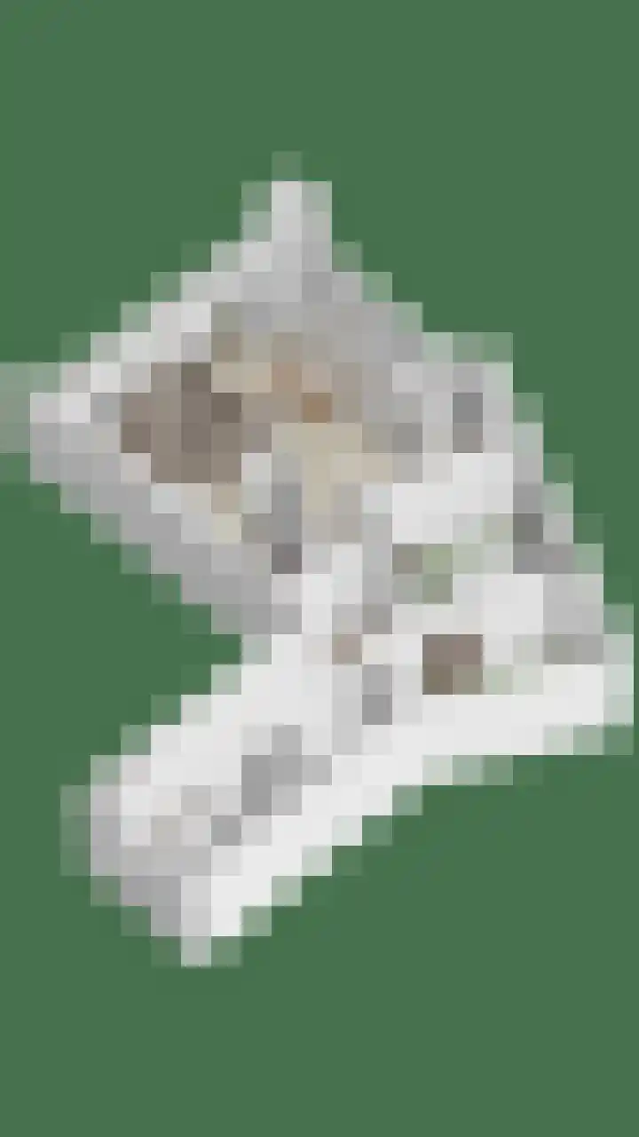Anton Philipslaan 164 Eindhoven thumbnail 36