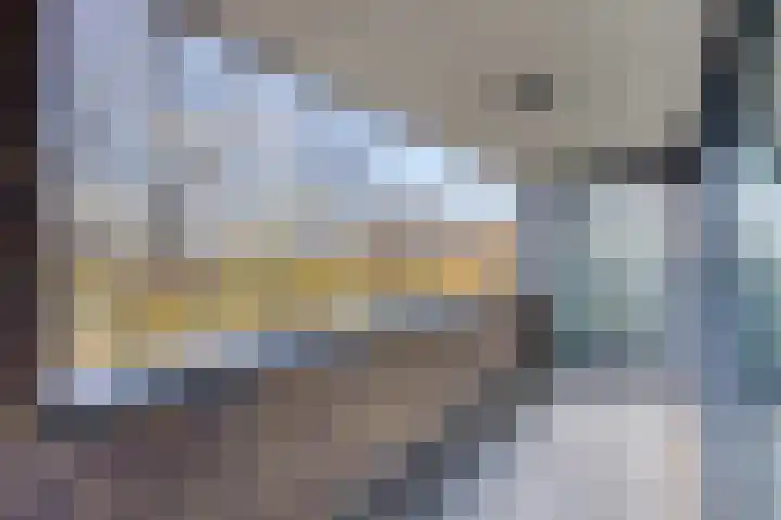 Anton Philipslaan 164 Eindhoven thumbnail 4