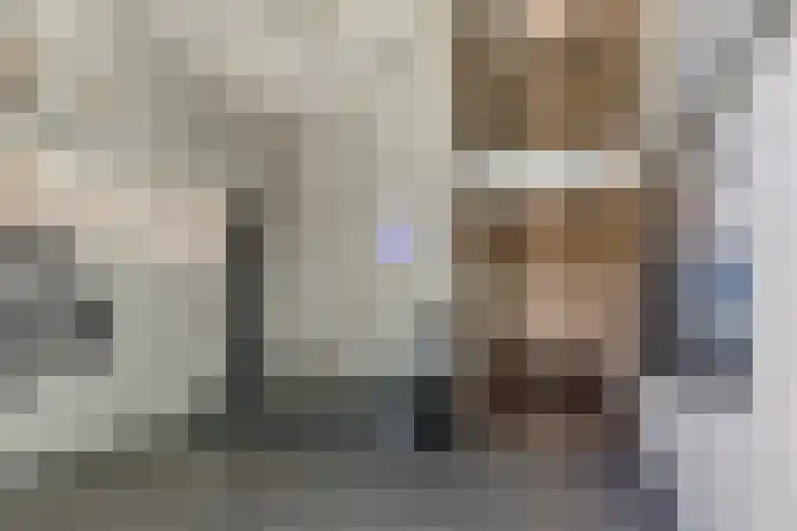 Anton Philipslaan 164 Eindhoven thumbnail 9