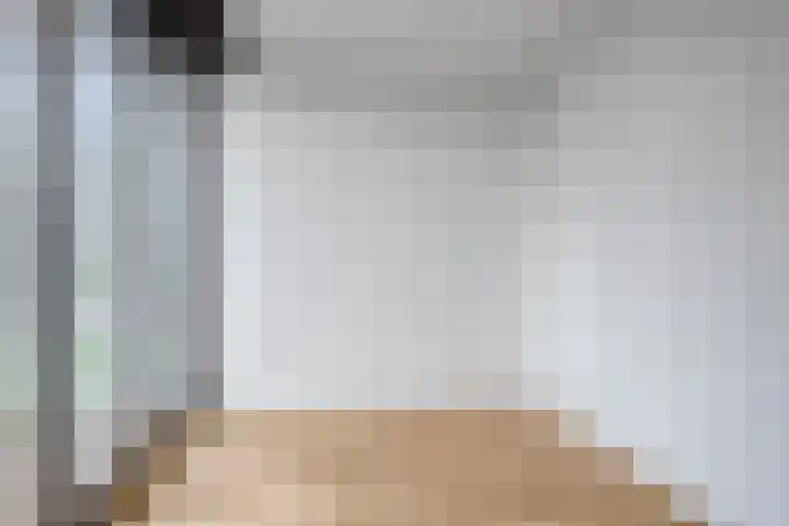 Anton Philipslaan 175 Eindhoven thumbnail 22