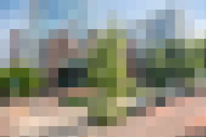 Anton Philipslaan 175 Eindhoven thumbnail 29
