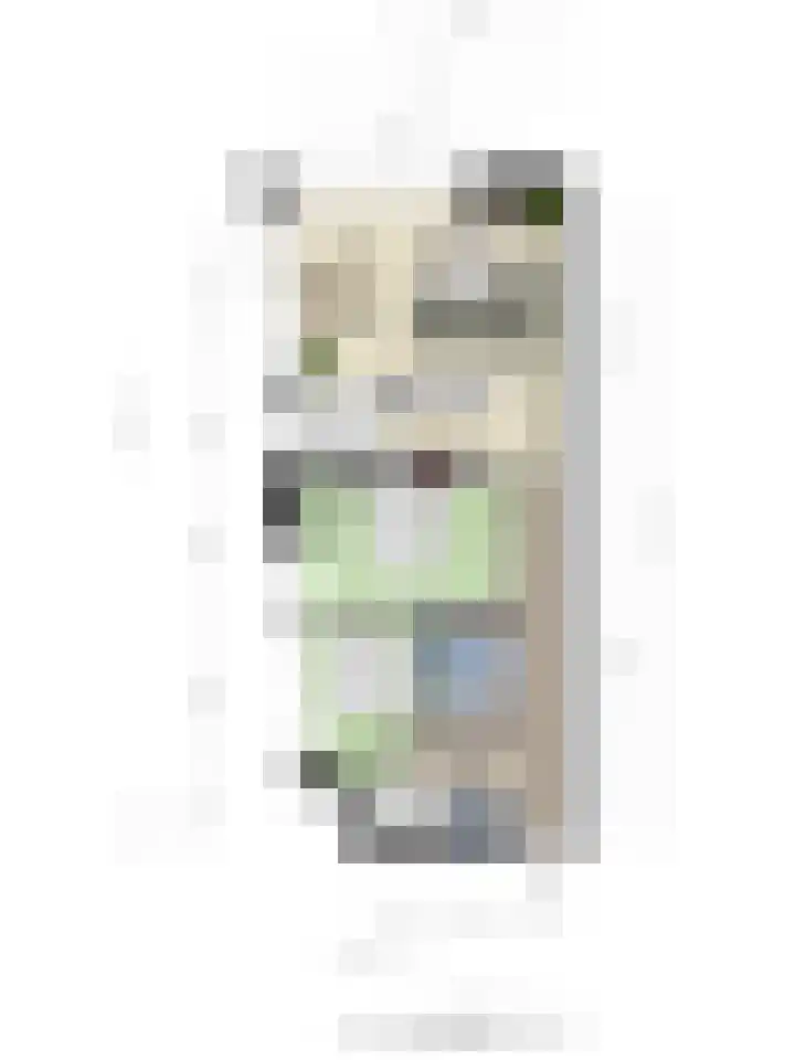 Anton Philipslaan 175 Eindhoven thumbnail 34