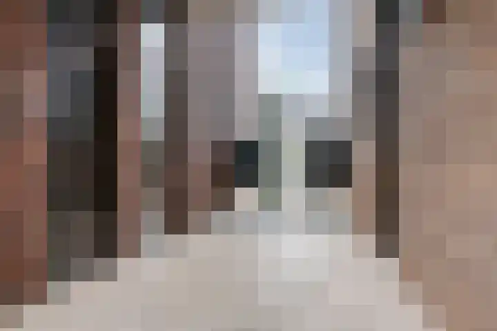 Anton Philipslaan 175 Eindhoven thumbnail 8