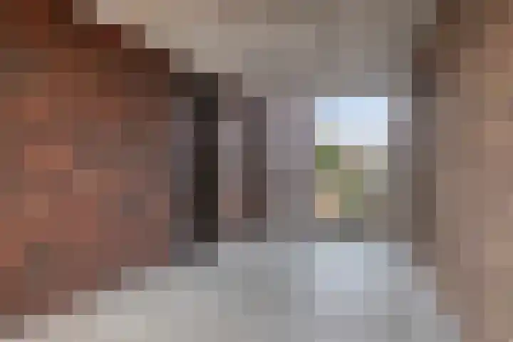 Anton Philipslaan 175 Eindhoven thumbnail 9