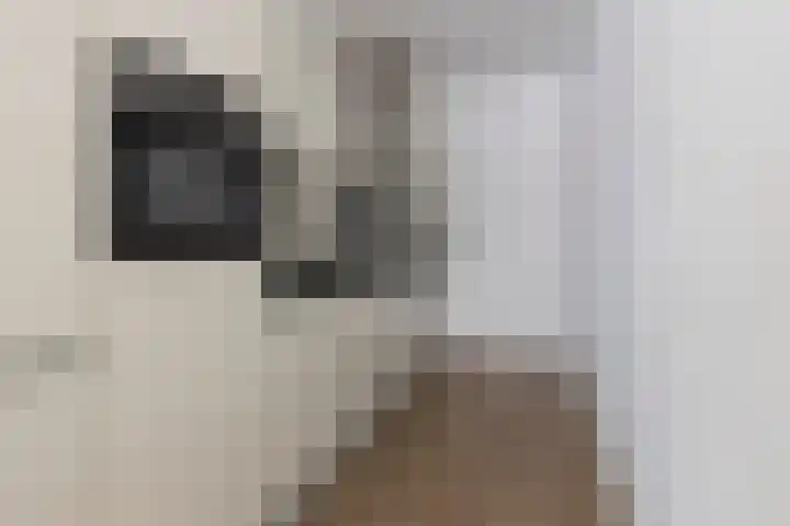Anton Philipslaan 97 Eindhoven thumbnail 13