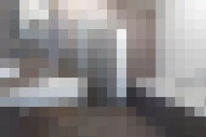 Anton Philipslaan 97 Eindhoven thumbnail 18