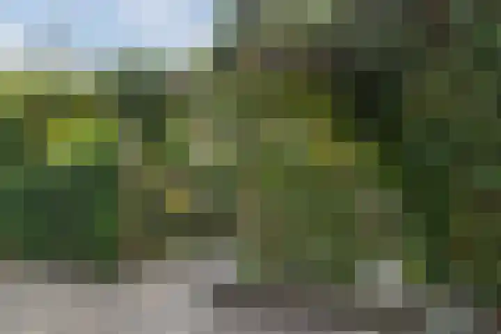 Anton Pieckhof 14 Utrecht thumbnail 10