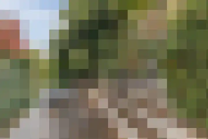 Anton Pieckhof 14 Utrecht thumbnail 11