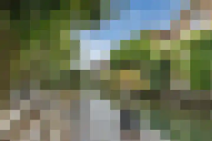Anton Pieckhof 14 Utrecht thumbnail 12