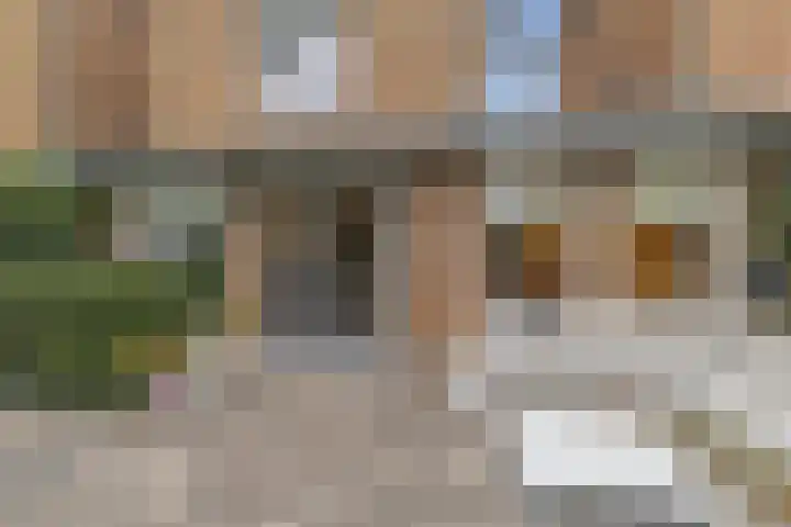 Anton Pieckhof 14 Utrecht thumbnail 15