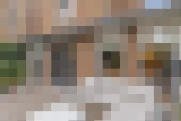 Anton Pieckhof 14 Utrecht thumbnail 16