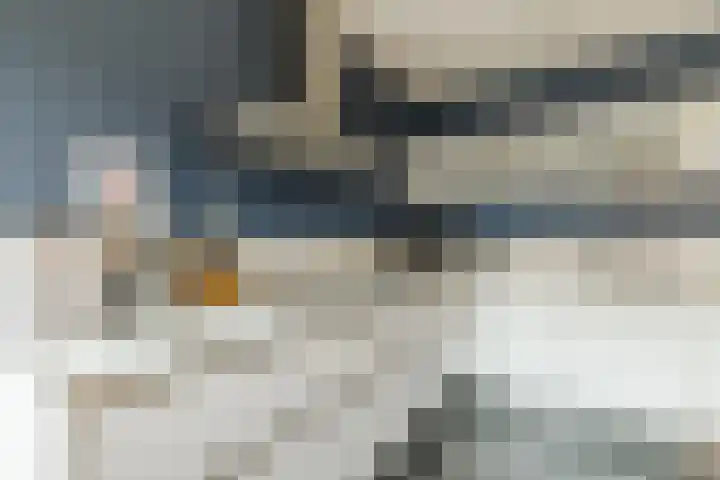 Anton Pieckhof 14 Utrecht thumbnail 23