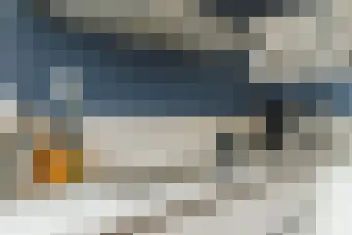 Anton Pieckhof 14 Utrecht thumbnail 24