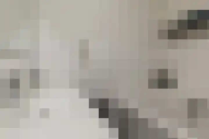 Anton Pieckhof 14 Utrecht thumbnail 32
