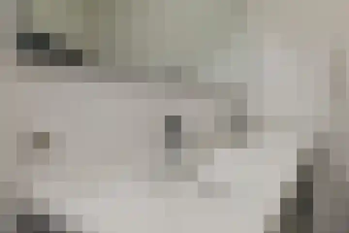 Anton Pieckhof 14 Utrecht thumbnail 33