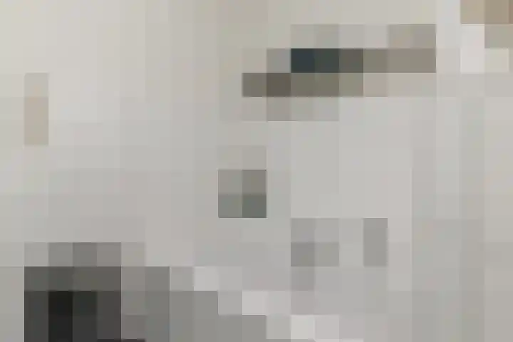 Anton Pieckhof 14 Utrecht thumbnail 34