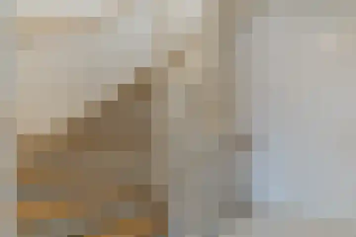 Anton Pieckhof 14 Utrecht thumbnail 39