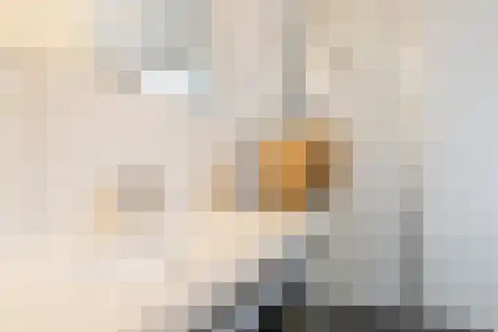 Anton Pieckhof 14 Utrecht thumbnail 43