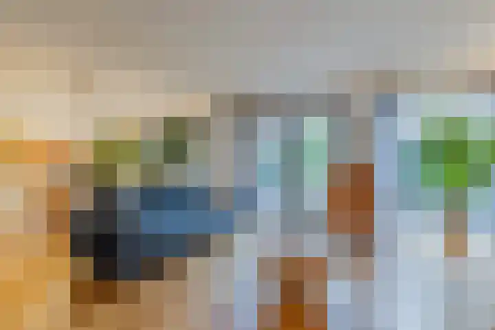 Anton Pieckhof 14 Utrecht thumbnail 6