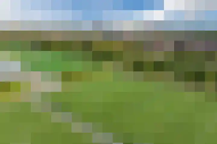 Anton Pieckhof 14 Utrecht thumbnail 66