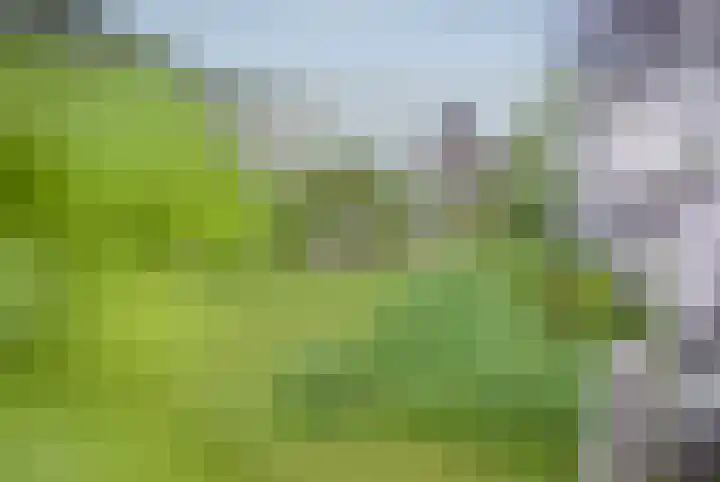 Anton Pieckhof 14 Utrecht thumbnail 69