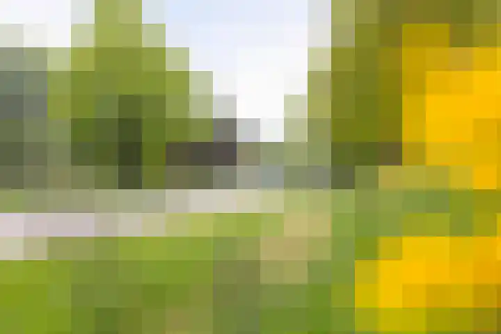 Anton Pieckhof 14 Utrecht thumbnail 71