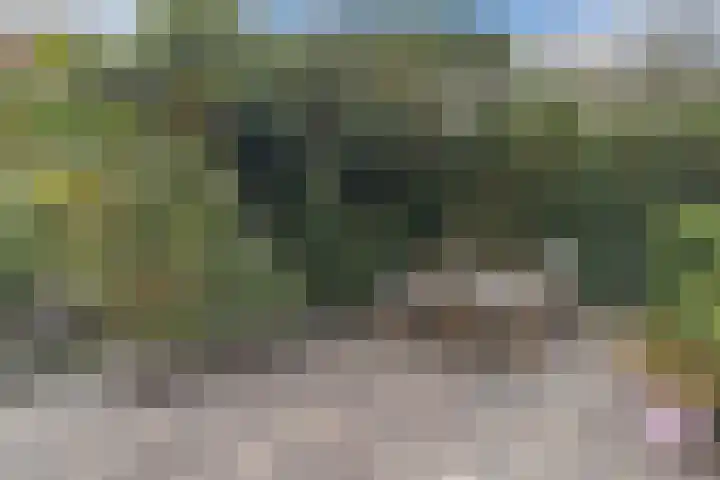 Anton Pieckhof 14 Utrecht thumbnail 8