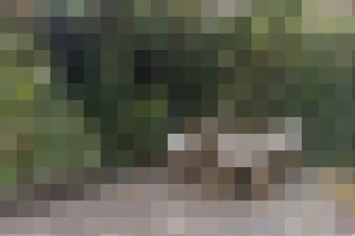 Anton Pieckhof 14 Utrecht thumbnail 9