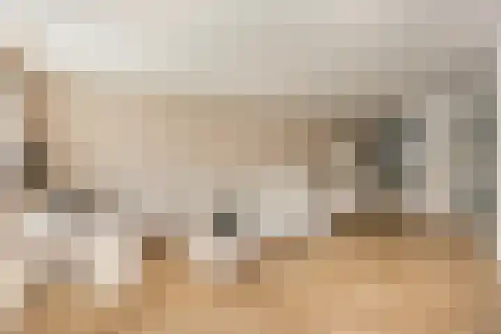 Anton Pieckhof 3 Utrecht thumbnail 10