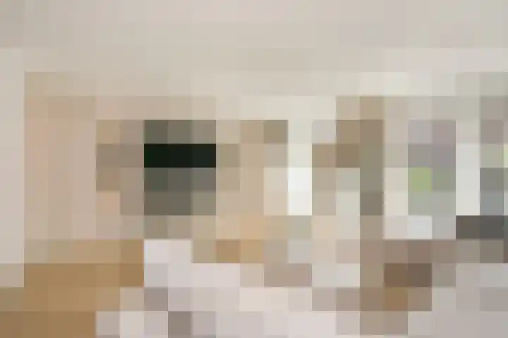 Anton Pieckhof 3 Utrecht thumbnail 11