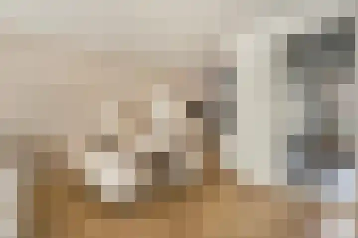 Anton Pieckhof 3 Utrecht thumbnail 12