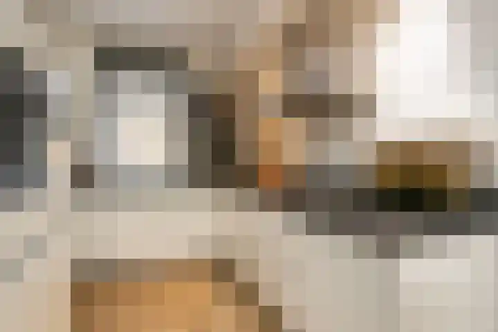 Anton Pieckhof 3 Utrecht thumbnail 13