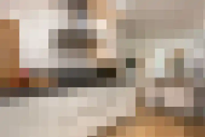 Anton Pieckhof 3 Utrecht thumbnail 14