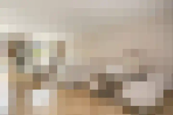 Anton Pieckhof 3 Utrecht thumbnail 15