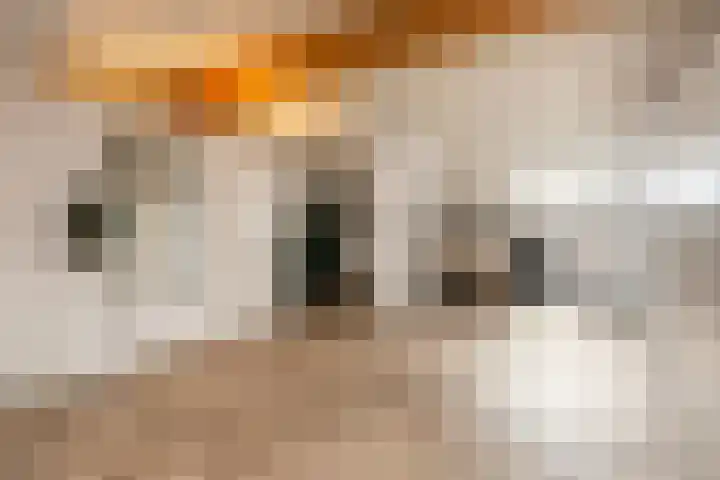 Anton Pieckhof 3 Utrecht thumbnail 27