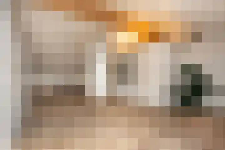Anton Pieckhof 3 Utrecht thumbnail 28