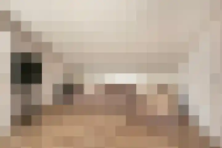 Anton Pieckhof 3 Utrecht thumbnail 29